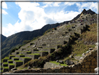 foto Machu Picchu